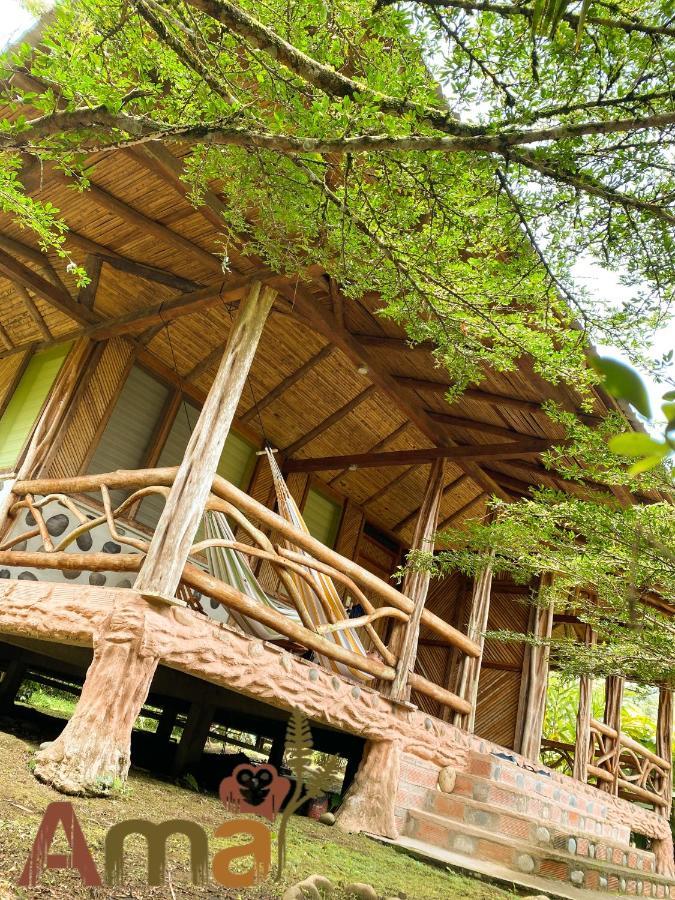 Ama Ecolodge Puerto Misahuallí Zewnętrze zdjęcie