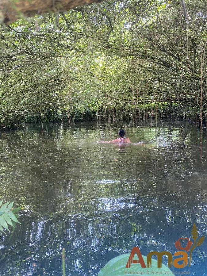 Ama Ecolodge Puerto Misahuallí Zewnętrze zdjęcie